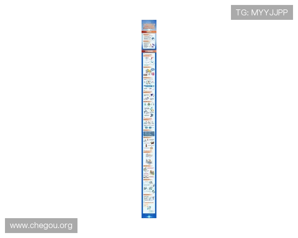 世界网站:助力用户快速获取国际最新动态与多元文化交流的优质渠道