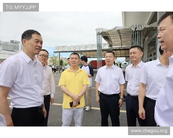 深入解析qy球友会千亿球友会的核心优势与未来发展趋势，满足足球爱好者多样化的交流需求